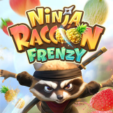 Ninja Raccoon Frenzy logo