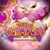 Cats of Olympuss logó