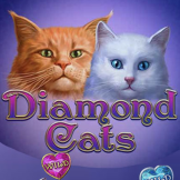 Diamond Cats logo