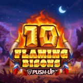 10 Flaming Bisons logó