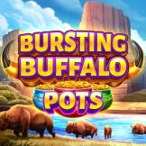 Bursting Buffalo Pots logó