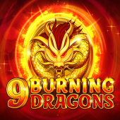 9 Burning Dragons logo
