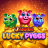 J Mania Lucky Pigs logó