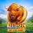 Bison Fortune Coins logó