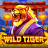 Wild Tiger logó