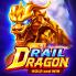 Rail Dragon logó