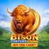 Bison Fortune Coins logó