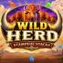 Wild Herd Stampede Stacks logó