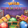 Wild Bazaar logó