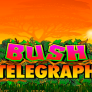 Bush Telegraph logó