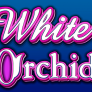 White Orchid logó