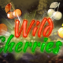 Wild Cherries logó