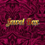 Jewel Box logó