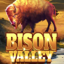 Bison Valley logó