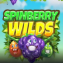 Spinberry Wilds logó