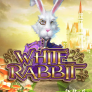 White Rabbit logó