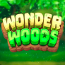 Wonder Woods logó