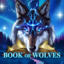Book Of Wolves logó
