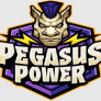 Pegasus Power logó
