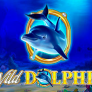 Wild Dolphin logó