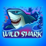 Wild Shark logó
