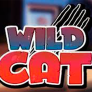 Wild Cat logó