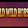 Wild Wild Horses logó