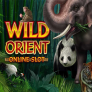 Wild Orient logó