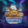 Wild North Radiant Skies Go Collect logó