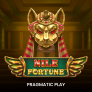 Nile Fortune logó