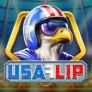 USA Flip logó