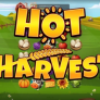 Hot Harvest logó