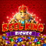 Reel King Riches logó
