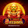 5 Lions Reborn logó