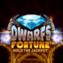 Dwarfs Fortune logó