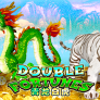 Double Fortune logó