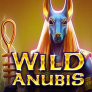 Wild Anubis logó