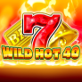 Wild Hot 40 logó