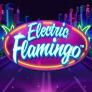 Electric Flamingo logó