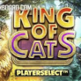 King of Cats logó