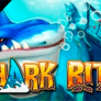 Shark Bite logó
