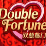 Double Fortune logó