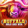 Buffalo Hold and Win logó