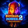 Buffalo Power 2 Hold and Win logó
