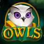 Owls logó