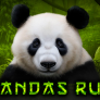 Pandas Run logó