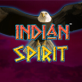 Indian Spirit logó