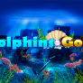 Dolphins Gold logó