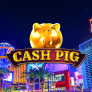 Cash Pig logó