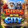 Birds in The City logó